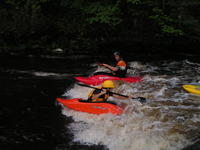 PICT1402.jpg