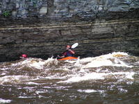 PICT1426.jpg