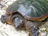 PICT0947_edited.jpg