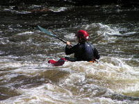 PICT1015.jpg