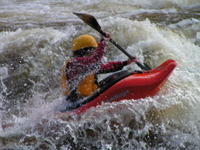 PICT1017.jpg