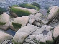 20050902_Grande_Bergeronne_0054.JPG