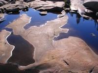 20050902_Grande_Bergeronne_0079.JPG