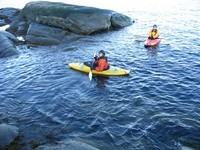 20050903-04-05 kayak avec baleines 050.jpg