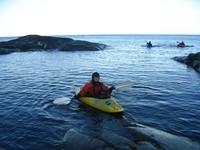 20050903-04-05 kayak avec baleines 052.jpg