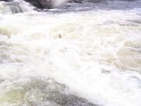 20050813_Gatineau-Sortie_0023.JPG