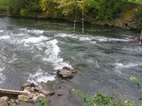20051016_Valleyfield_0003.JPG
