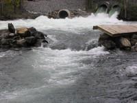 20051016_Valleyfield_0024.JPG