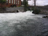 20051016_Valleyfield_0026.JPG