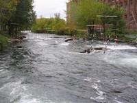 20051016_Valleyfield_0027.JPG