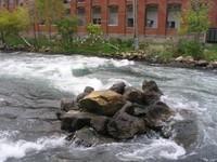 20051016_Valleyfield_0028.JPG