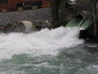 20051016_Valleyfield_0029.JPG
