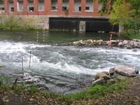 20051016_Valleyfield_0041.JPG