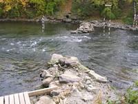 20051022_Valleyfield_0004.JPG