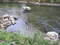 20051022_Valleyfield_0013.JPG
