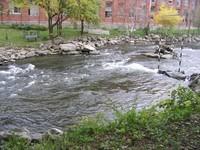 20051022_Valleyfield_0033.JPG