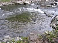 20051022_Valleyfield_0037.JPG