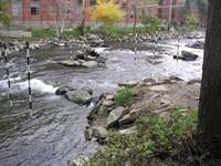 20051022_Valleyfield_0038.JPG