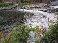 20051022_Valleyfield_0050.JPG