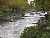 20051022_Valleyfield_0090.JPG