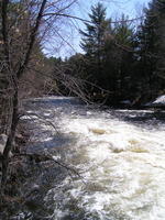 PICT2819.jpg