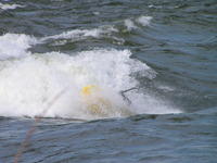 PICT2849.jpg