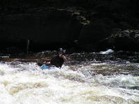 PICT3211.jpg