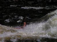 PICT3500.jpg
