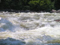 PICT3058.jpg