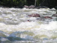PICT3059.jpg