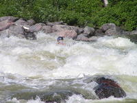 PICT3067.jpg