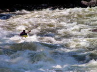 PICT3074.jpg