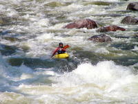 PICT3075.jpg