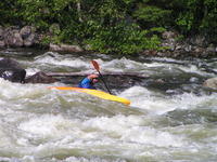PICT3083.jpg