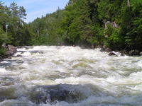 PICT3114.jpg