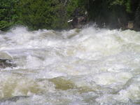 PICT3115.jpg
