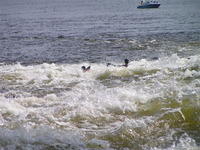 PICT3119.jpg