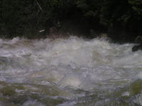 PICT3125.jpg