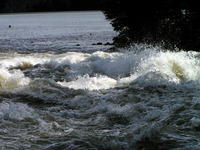 PICT3126.jpg