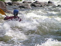 PICT3130.jpg