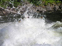 PICT3140.jpg