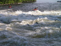 PICT3141.jpg
