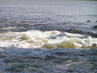 PICT3142.jpg