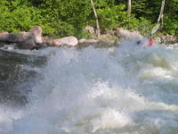 PICT3147.jpg
