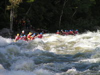 PICT3150.jpg