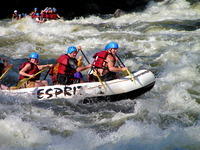 PICT3151.jpg