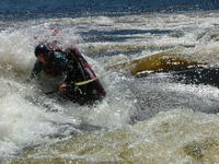 bf 2005 060.jpg