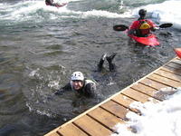 PICT2739.jpg