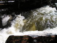 PICT2771.jpg