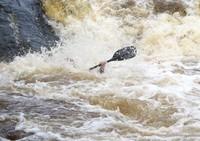 20060701_Rouge_21milles_097.JPG